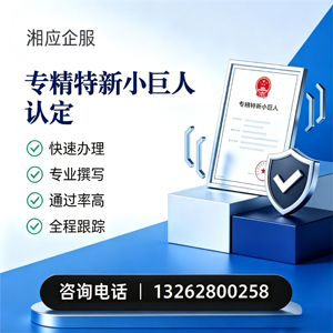 安阳专精特新小巨人申报服务