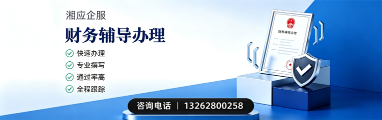 安阳财务辅导申请服务