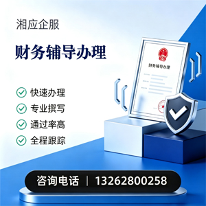 安阳财务辅导申请服务