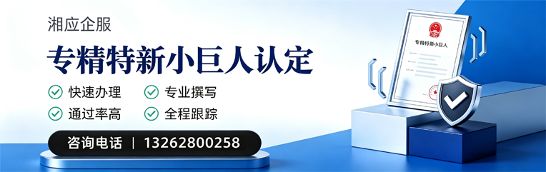 安阳专精特新小巨人申报服务